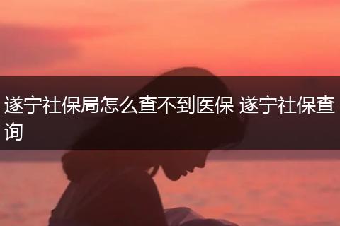 遂宁社保局怎么查不到医保 遂宁社保查询