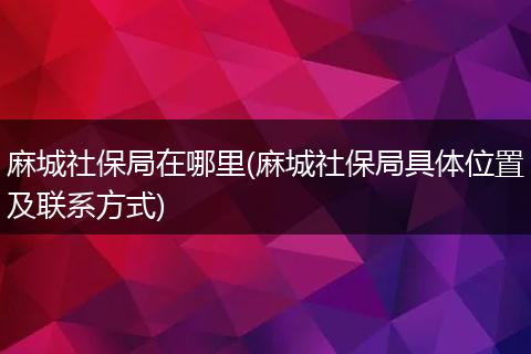 麻城社保局在哪里(麻城社保局具体位置及联系方式)