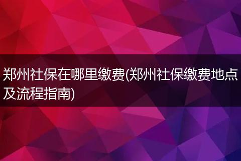 郑州社保在哪里缴费(郑州社保缴费地点及流程指南)