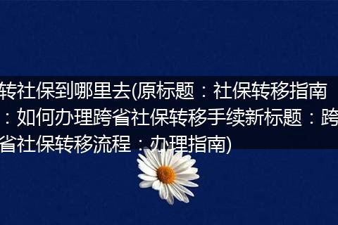 转社保到哪里去(原标题：社保转移指南：如何办理跨省社保转移手续新标题：跨省社保转移流程：办理指南)