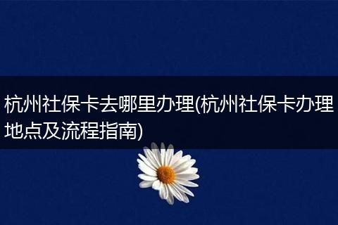 杭州社保卡去哪里办理(杭州社保卡办理地点及流程指南)