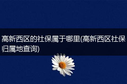 高新西区的社保属于哪里(高新西区社保归属地查询)