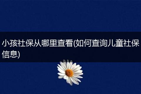 小孩社保从哪里查看(如何查询儿童社保信息)