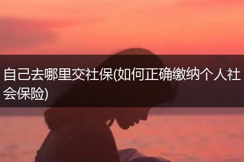 自己去哪里交社保(如何正确缴纳个人社会保险)