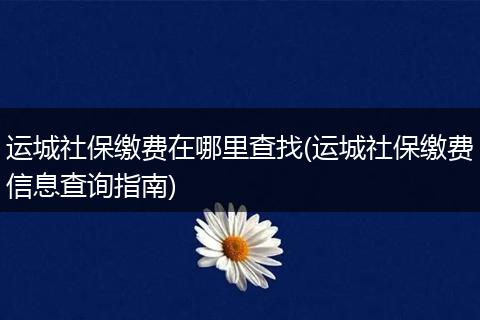 运城社保缴费在哪里查找(运城社保缴费信息查询指南)