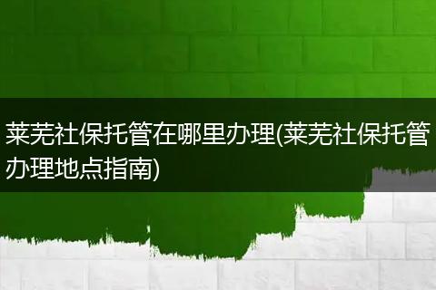 莱芜社保托管在哪里办理(莱芜社保托管办理地点指南)