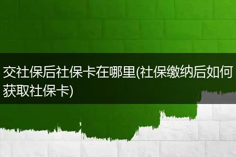 交社保后社保卡在哪里(社保缴纳后如何获取社保卡)
