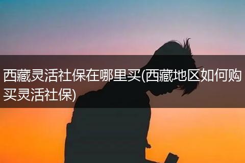 西藏灵活社保在哪里买(西藏地区如何购买灵活社保)