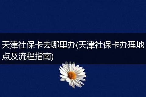 天津社保卡去哪里办(天津社保卡办理地点及流程指南)