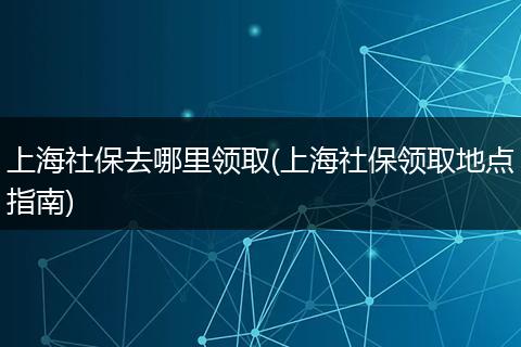 上海社保去哪里领取(上海社保领取地点指南)