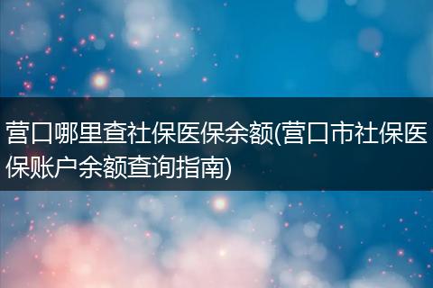 营口哪里查社保医保余额(营口市社保医保账户余额查询指南)