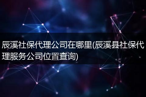 辰溪社保代理公司在哪里(辰溪县社保代理服务公司位置查询)