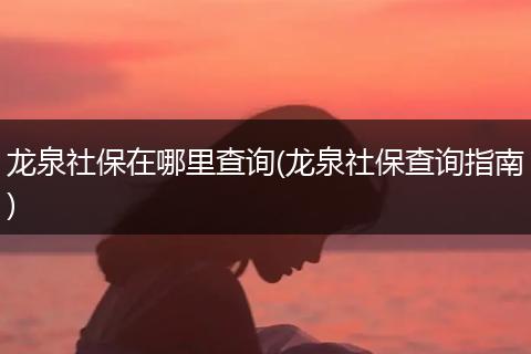 龙泉社保在哪里查询(龙泉社保查询指南)