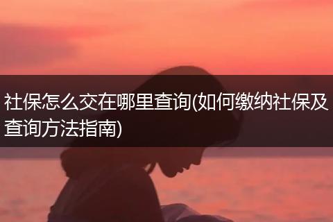 社保怎么交在哪里查询(如何缴纳社保及查询方法指南)