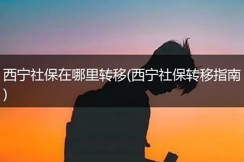 西宁社保在哪里转移(西宁社保转移指南)
