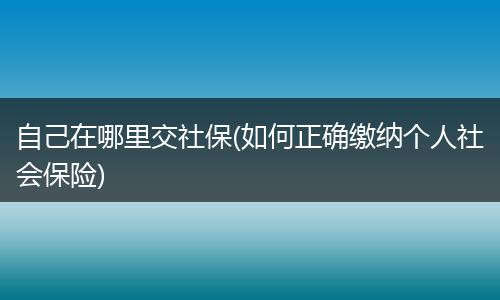 自己在哪里交社保(如何正确缴纳个人社会保险)