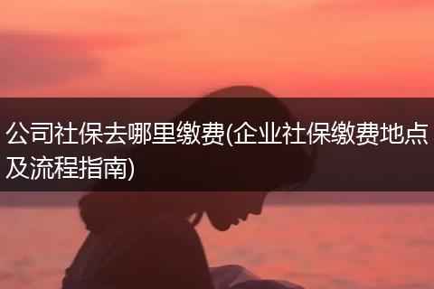 公司社保去哪里缴费(企业社保缴费地点及流程指南)