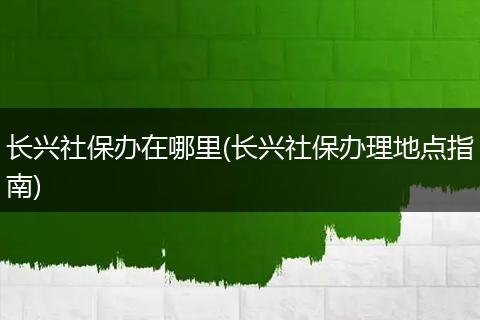 长兴社保办在哪里(长兴社保办理地点指南)