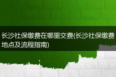 长沙社保缴费在哪里交费(长沙社保缴费地点及流程指南)