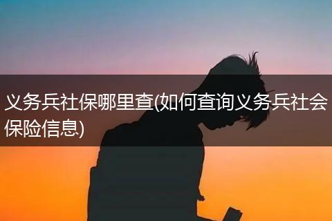 义务兵社保哪里查(如何查询义务兵社会保险信息)