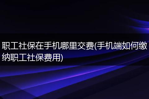 职工社保在手机哪里交费(手机端如何缴纳职工社保费用)