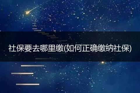 社保要去哪里缴(如何正确缴纳社保)