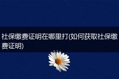 社保缴费证明在哪里打(如何获取社保缴费证明)