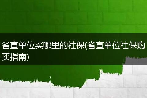 省直单位买哪里的社保(省直单位社保购买指南)