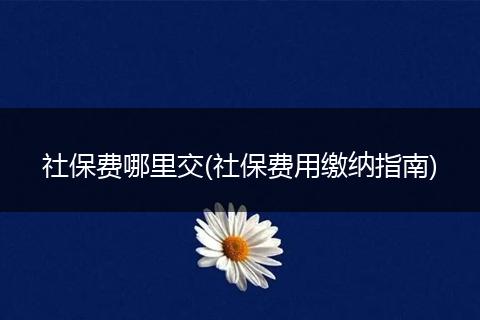 社保费哪里交(社保费用缴纳指南)