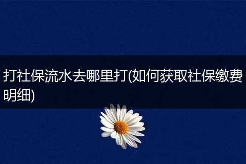 打社保流水去哪里打(如何获取社保缴费明细)