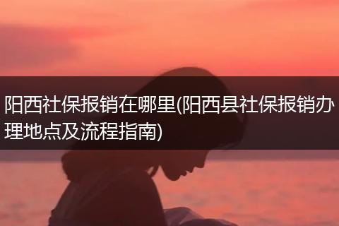 阳西社保报销在哪里(阳西县社保报销办理地点及流程指南)