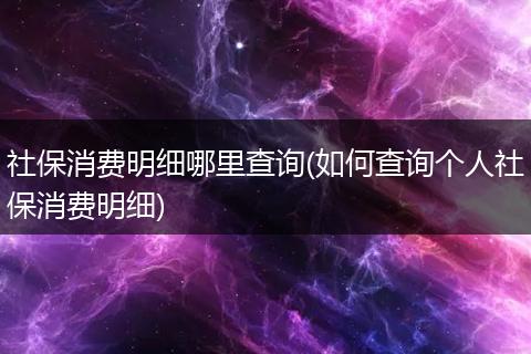 社保消费明细哪里查询(如何查询个人社保消费明细)