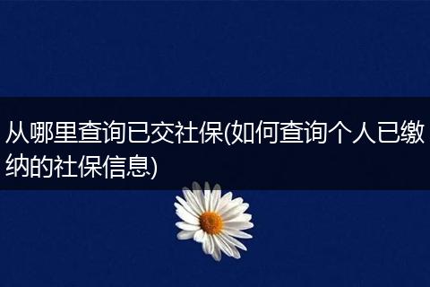 从哪里查询已交社保(如何查询个人已缴纳的社保信息)