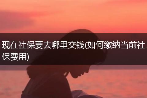 现在社保要去哪里交钱(如何缴纳当前社保费用)