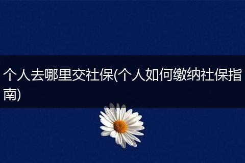 个人去哪里交社保(个人如何缴纳社保指南)