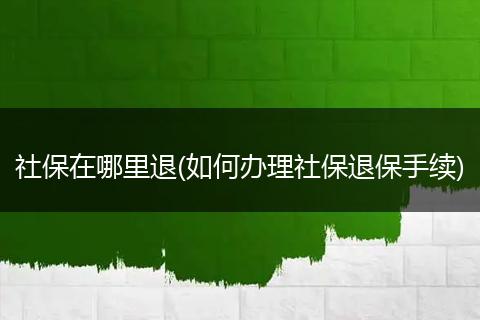 社保在哪里退(如何办理社保退保手续)