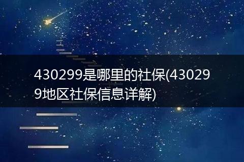 430299是哪里的社保(430299地区社保信息详解)