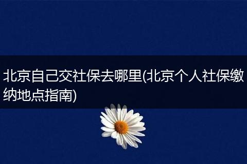 北京自己交社保去哪里(北京个人社保缴纳地点指南)
