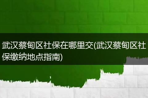 武汉蔡甸区社保在哪里交(武汉蔡甸区社保缴纳地点指南)