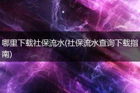 哪里下载社保流水(社保流水查询下载指南)
