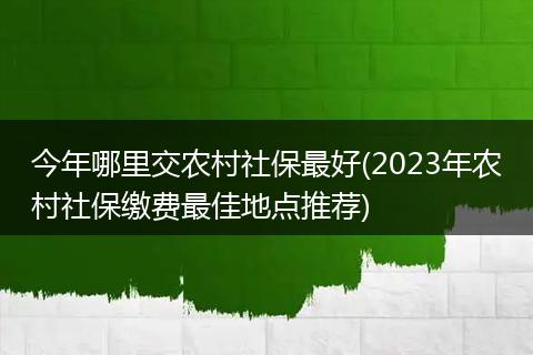 今年哪里交农村社保最好(2023年农村社保缴费最佳地点推荐)