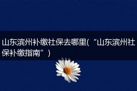 山东滨州补缴社保去哪里(“山东滨州社保补缴指南”)