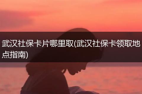 武汉社保卡片哪里取(武汉社保卡领取地点指南)
