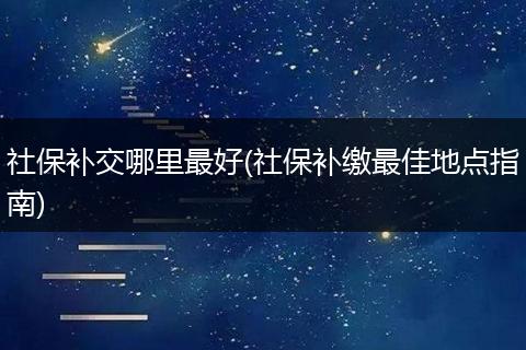 社保补交哪里最好(社保补缴最佳地点指南)