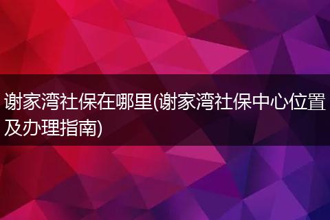 谢家湾社保在哪里(谢家湾社保中心位置及办理指南)