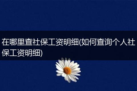 在哪里查社保工资明细(如何查询个人社保工资明细)