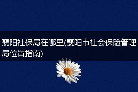 襄阳社保局在哪里(襄阳市社会保险管理局位置指南)
