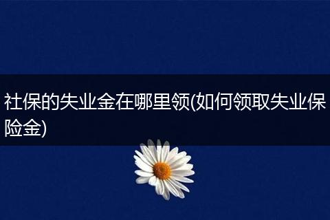 社保的失业金在哪里领(如何领取失业保险金)