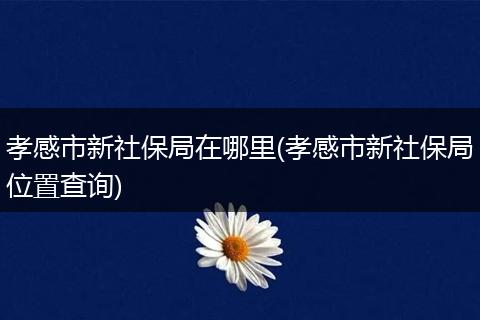 孝感市新社保局在哪里(孝感市新社保局位置查询)