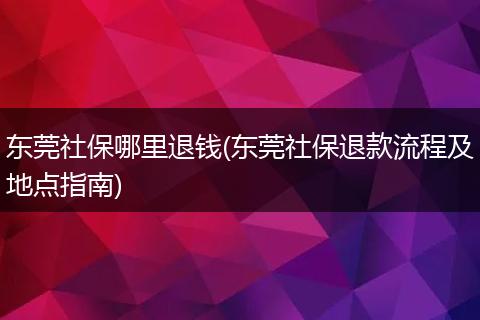 东莞社保哪里退钱(东莞社保退款流程及地点指南)